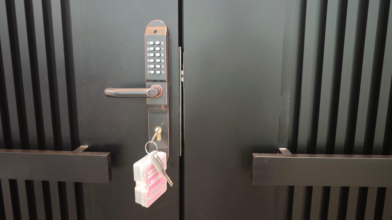 Luxury Black Double Swing  Gate with digital lock and key